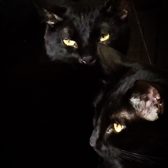 twinz6204